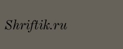 Century Expanded Italic BT 